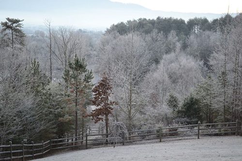 PikevilleWinter
