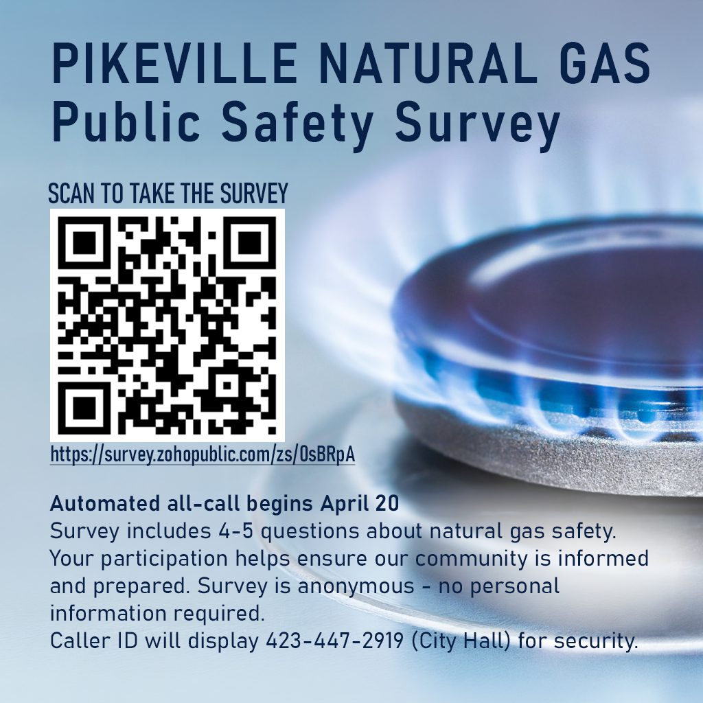 PNG Public Safety Survey